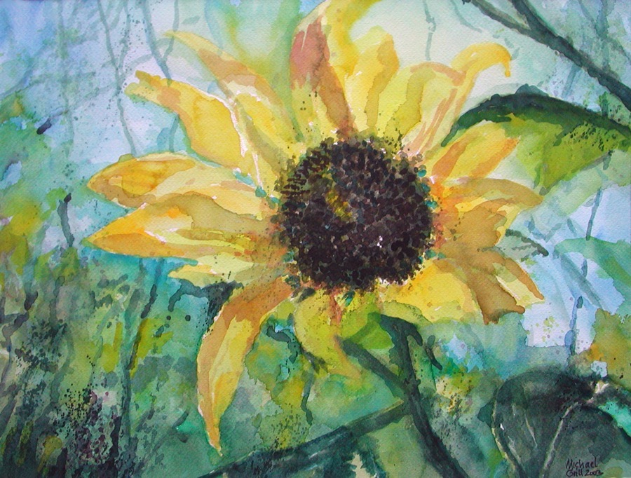 Sonnenblume 2004.jpg
